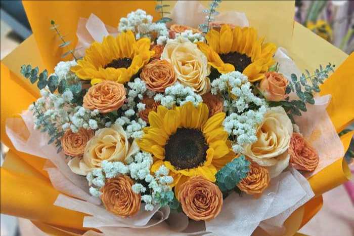 ����������